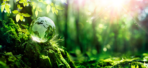 Earth Day  - Glass Planet With Africa And Europe Map In Forest With Fern And Defocused Abstract Sunlight