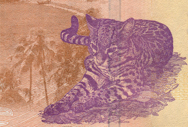 istock Ocelot Pattern Design on Venezuelan Bolivar Currency 1481883955