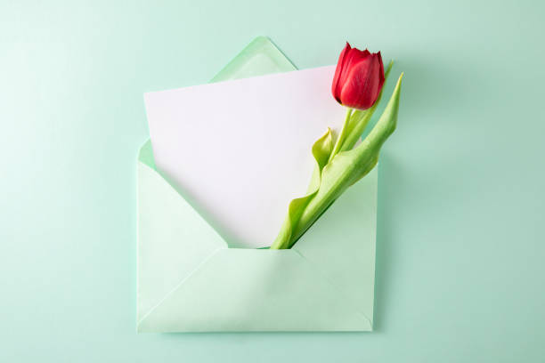 istock Tulips with White Greeting Card in Green Envelope 1481884643