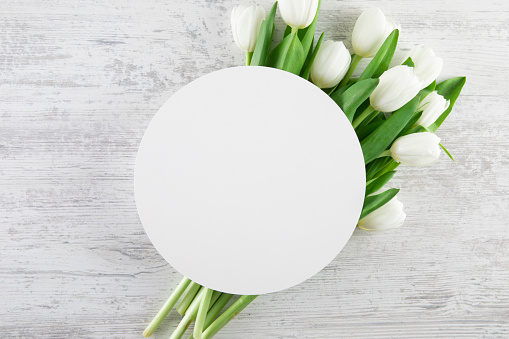 Tulips on white wooden background