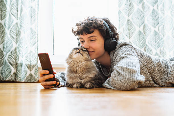 Spending your free time at home with your cat