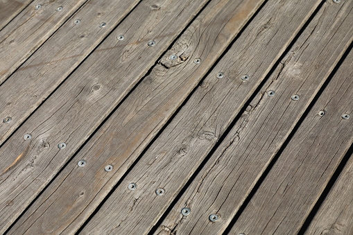 Background pattern wood timber