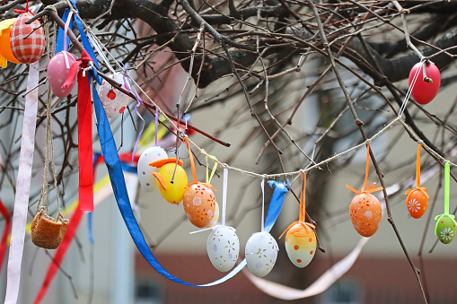 Easter eggs on the branches of a tree