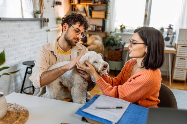 istock Examining dog health using online advices at home 1481889693