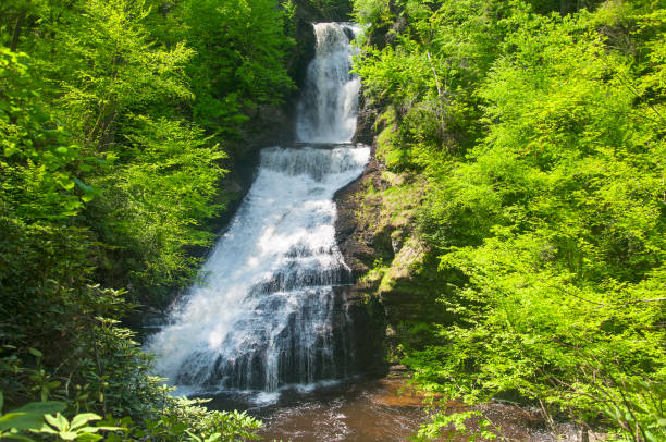 istock dingmans falls nature landscape pennsylvania 1481890540