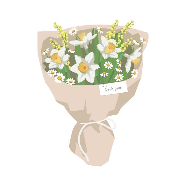 ilustraciones, imágenes clip art, dibujos animados e iconos de stock de ramo de flores de primavera. narcisos, mimosas y margaritas. - daffodil stem yellow spring