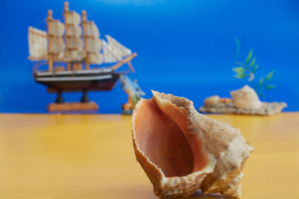 Shell close-up and a boat in the distance on a blue background. Symbol of vacation, summer. Yellow-blue background close-up