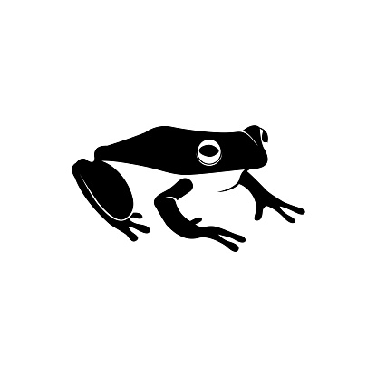 frog flat style vector logo