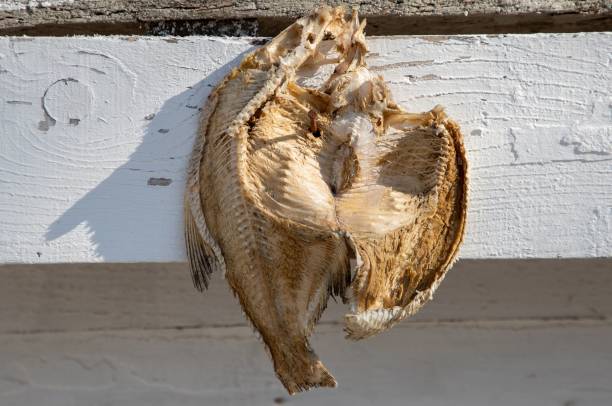 istock a close-up with dried fish hanging 1481900362