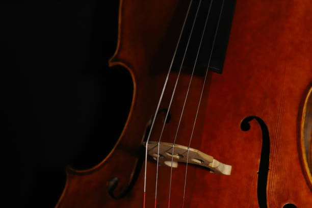corde di violoncello sul ponte del primo piano dello strumento artigianale. - violin family foto e immagini stock