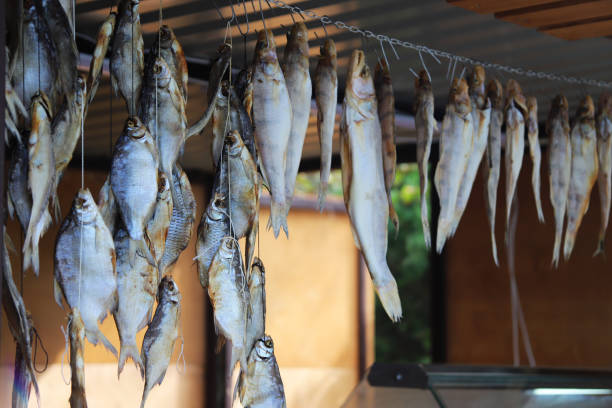 istock Salted river fish hanging on the rope in the drying process 1481904539