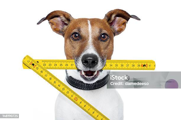 Foto de Operador De Cachorro e mais fotos de stock de Cão - Cão, Medindo, Instrumento de medição