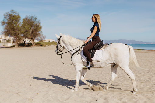 Cabalgando Rico Mujer Joven Cabalgando Con Su Caballo Blanco En La Playa Foto de stock ...
