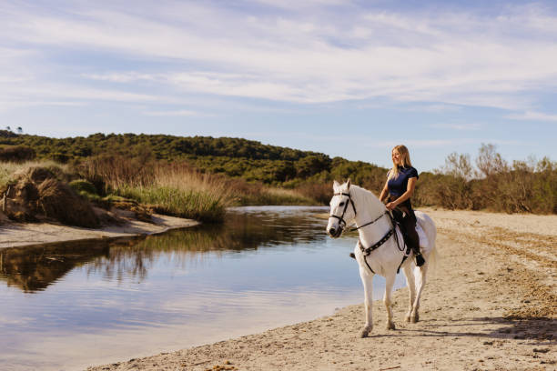 海に流れ込む川床の近くで白い馬に乗っている美しい若い金髪の女性 - real people blue white friendship ストックフォトと画像