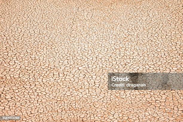 Cracked Earth Stock Photo - Download Image Now - Arid Climate, Dry, Land