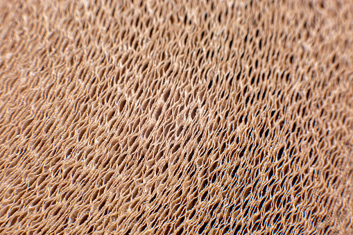 Macro shot of rolled brown recycled paper. A shot taken from the side of the paper layers.