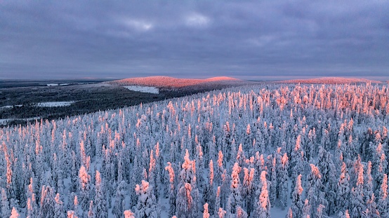 Aerial view of snowy trees and tunturi mountains in Syote, Finland