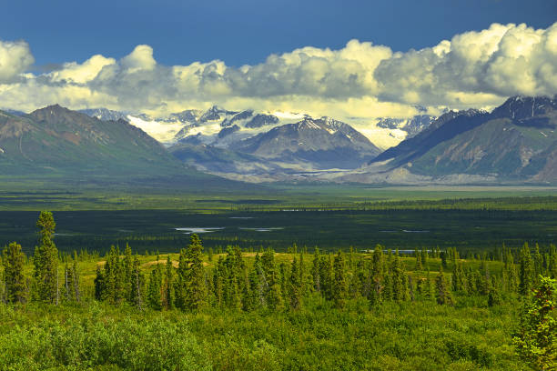 istock Nordic landscape around Denali Highway 1481915087