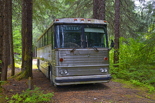 An old bus parked and forgotten in the forest among the trees, Alaska, USA