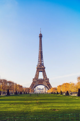 wide view on eiffel tower at sunny day