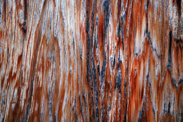 istock Beautiful wood grain. Wood background. Wood grain pattern texture background 1481926453