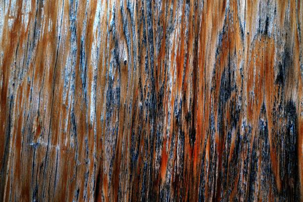 istock Beautiful wood grain. Wood background. Wood grain pattern texture background 1481926462