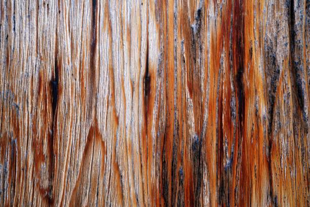 istock Beautiful wood grain. Wood background. Wood grain pattern texture background 1481926469