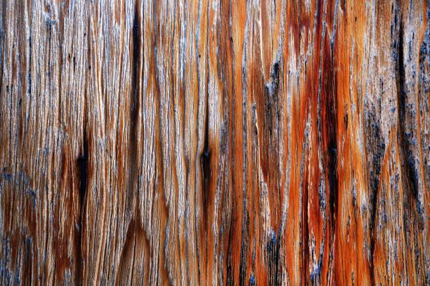 istock Beautiful wood grain. Wood background. Wood grain pattern texture background 1481926470