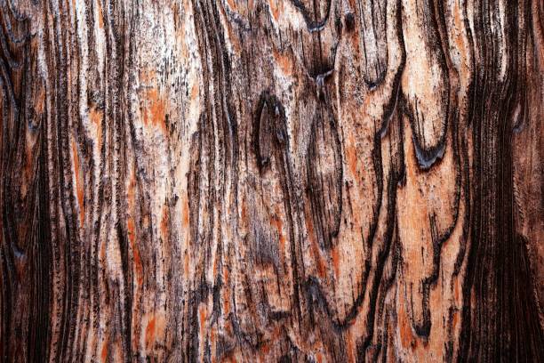 istock Beautiful wood grain. Wood background. Wood grain pattern texture background 1481926489