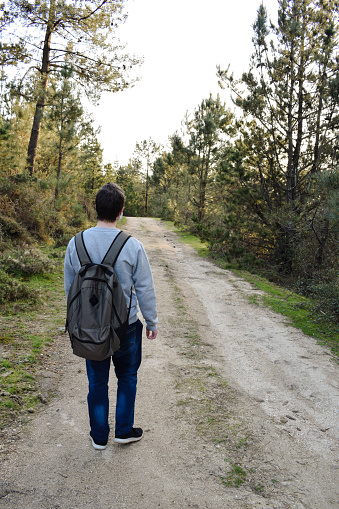 Back view of a teenager with a backpack walking on a path through the forest