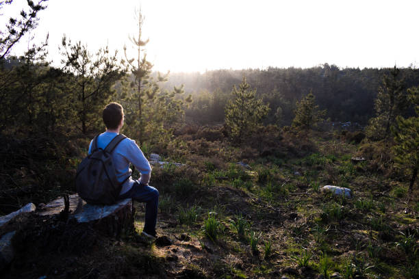 istock Hiker sitting on a stump watching the sunset in the forest 1481927866