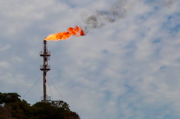 istock Industrial chimney with a flame and smoke coming out. 1481929099