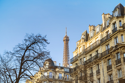 low angle view on eiffel tower in the background behind residential houses in Paris at sunny day