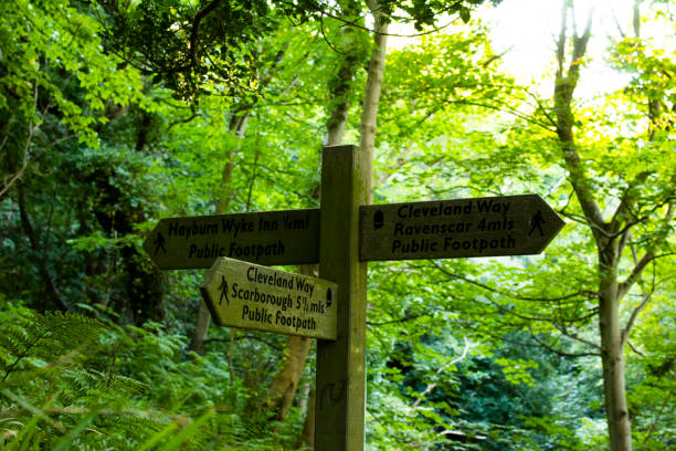 istock Signpost leading to cove 1481931448