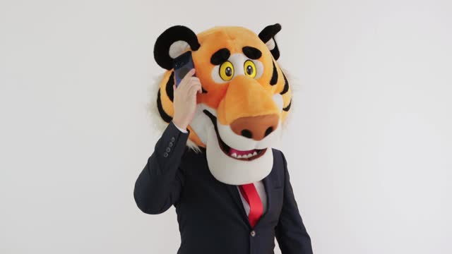 Male businessman in a suit and tie with a tiger head talking on the phone on a white background, humor.