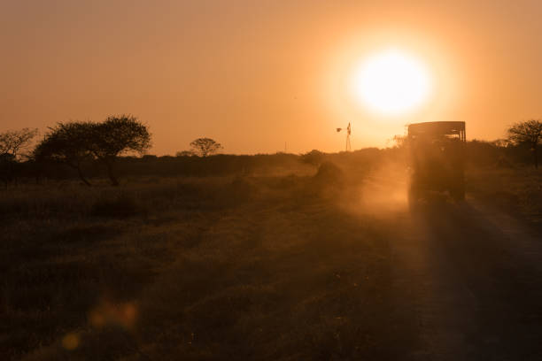 Safari jeep driving off-road at sunset in Gir National park