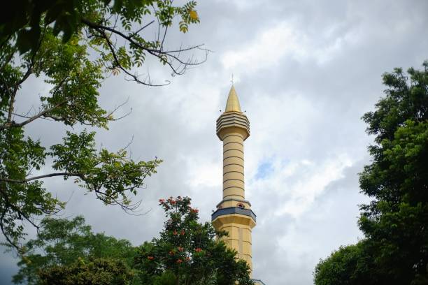 the tower of mosque that rises high among the green trees - foliate pattern audio imagens e fotografias de stock