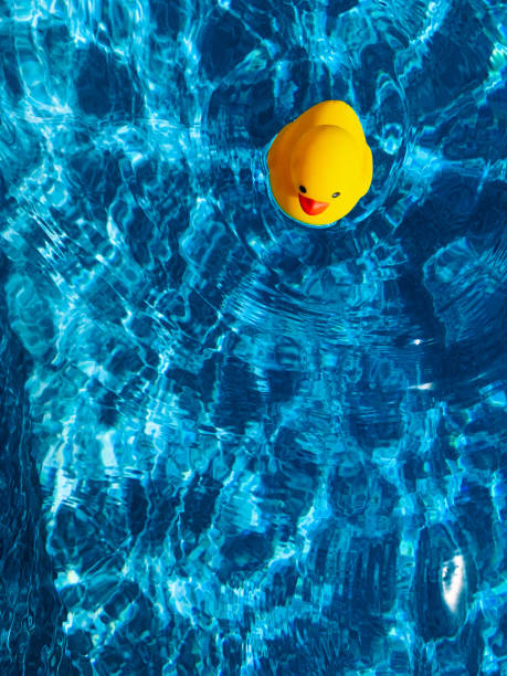 istock Toy duck in water 1481960575