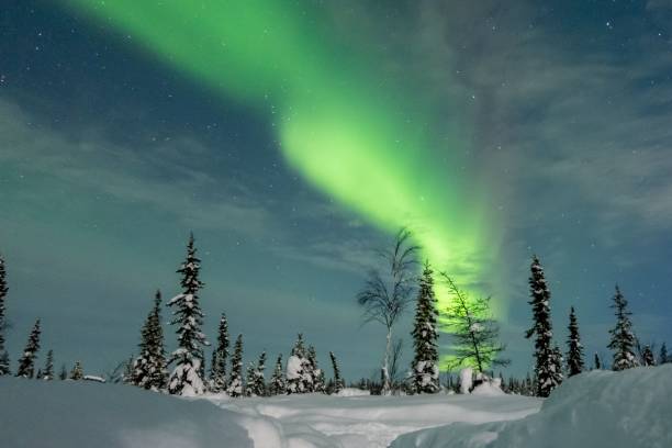 istock A brilliant display of vibrant green aurora lights 1481964732