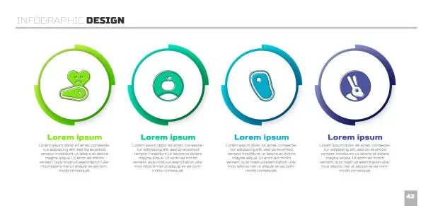 Vector illustration of Set Steak meat, Apple, and Rabbit. Business infographic template. Vector