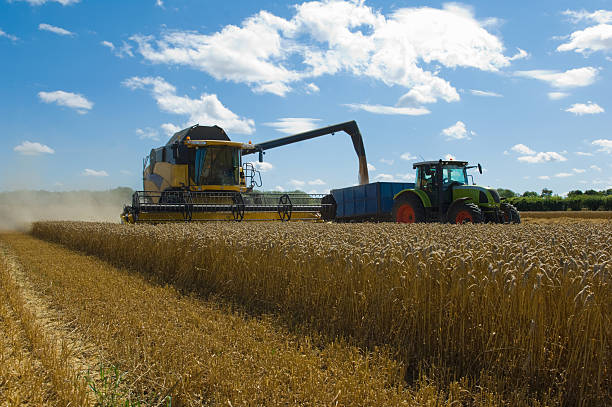 thresher de recolección de trigo - tractor farm uk agriculture fotografías e imágenes de stock