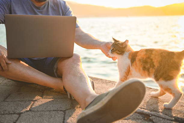 istock mature adult man working on the beach ( laptop) 1481972401