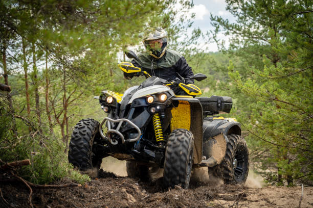 istock Professional quad biker rides in forest. Quad racing, ATV 4x4 1481972665