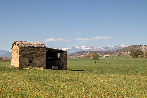 Barn in the middle of the meadow close to the snowed mountains