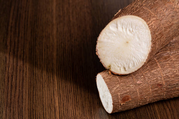 istock Fresh Organic Cassava Root - Manioc Esculenta; On White Background 1481985241