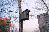 Old birdhouse