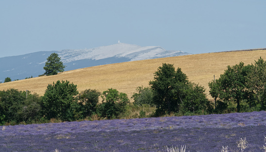 Famous mountain in Provence