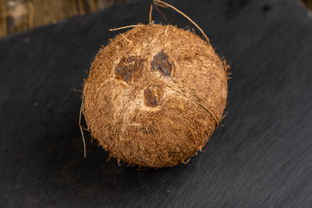istock a close-up of a brown coconut shell, close-up 1482002927