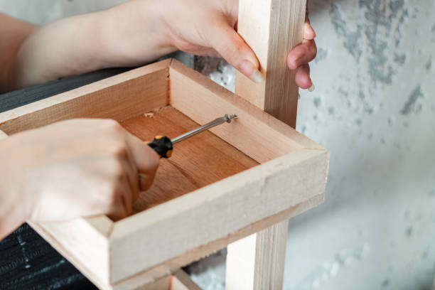 istock Detailed view of a woman's hands disassembling a wooden shelf with a screwdriver. 1482004037