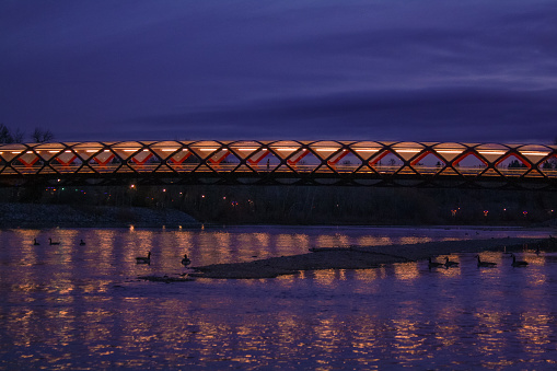 Calgary, Alberta - October 2019: The iconic Peace Bridge connecting  Downtown Calgary and the community of Sunnyside, designed by Santiago Calatrava